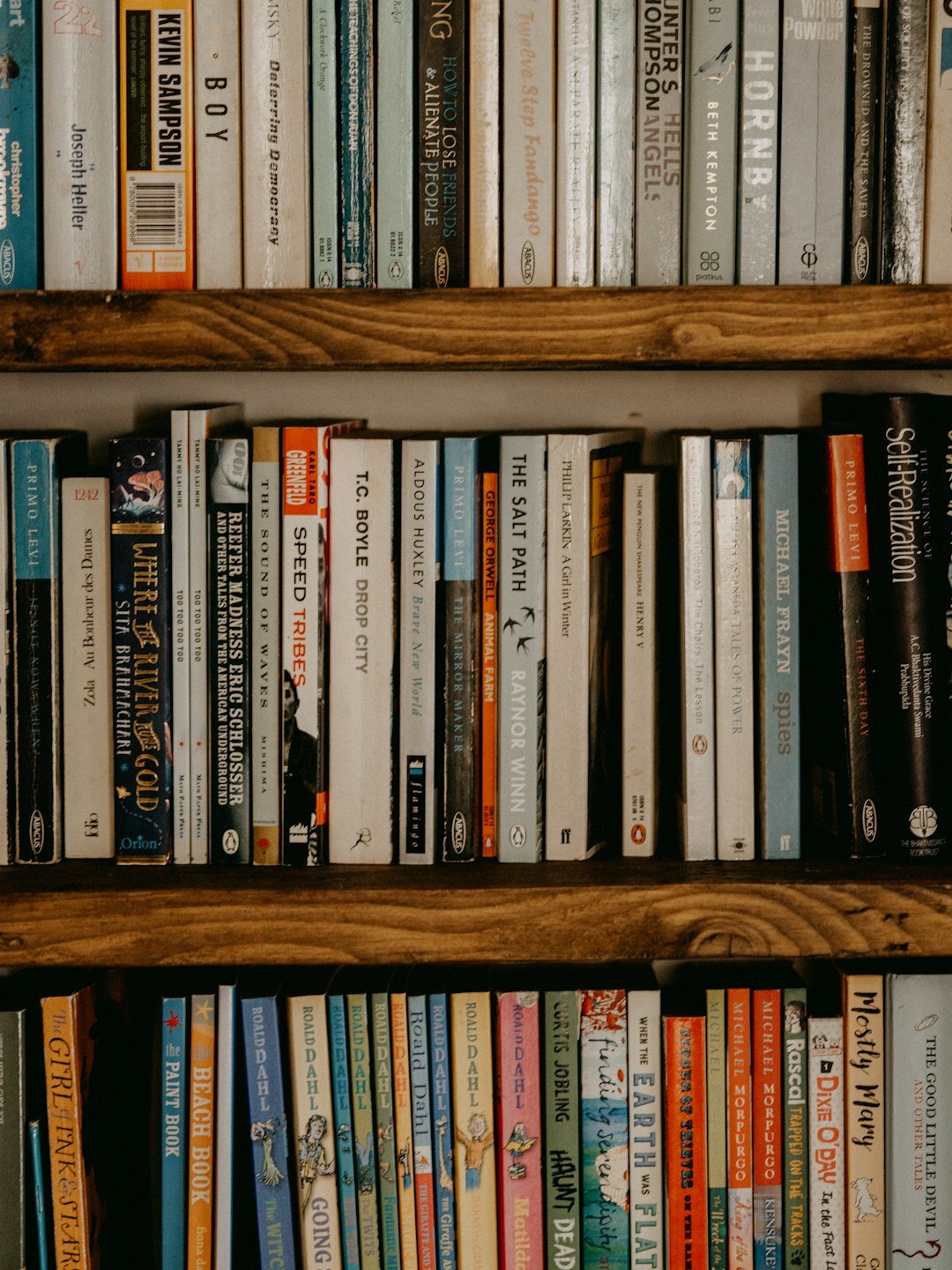bookshelf with mystery novels